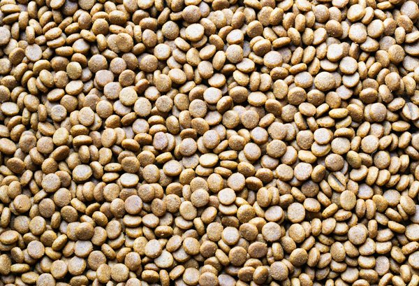 Découvrez le meilleur magasin de vape en ligne pour vapoter malin